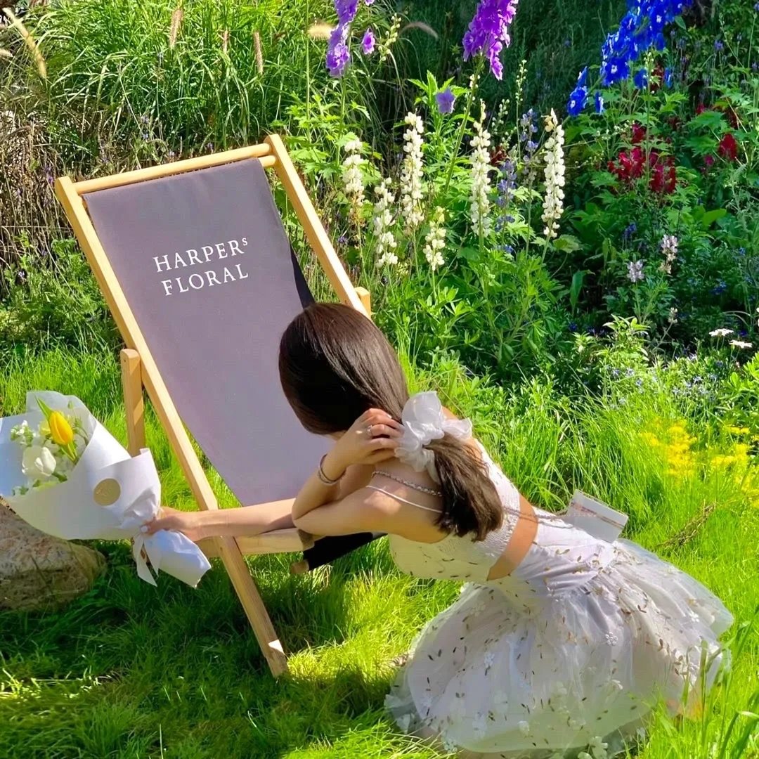 东陵大盗（四）